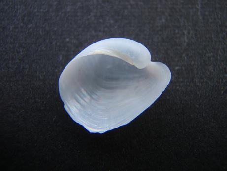 a0125598_203221100.jpg