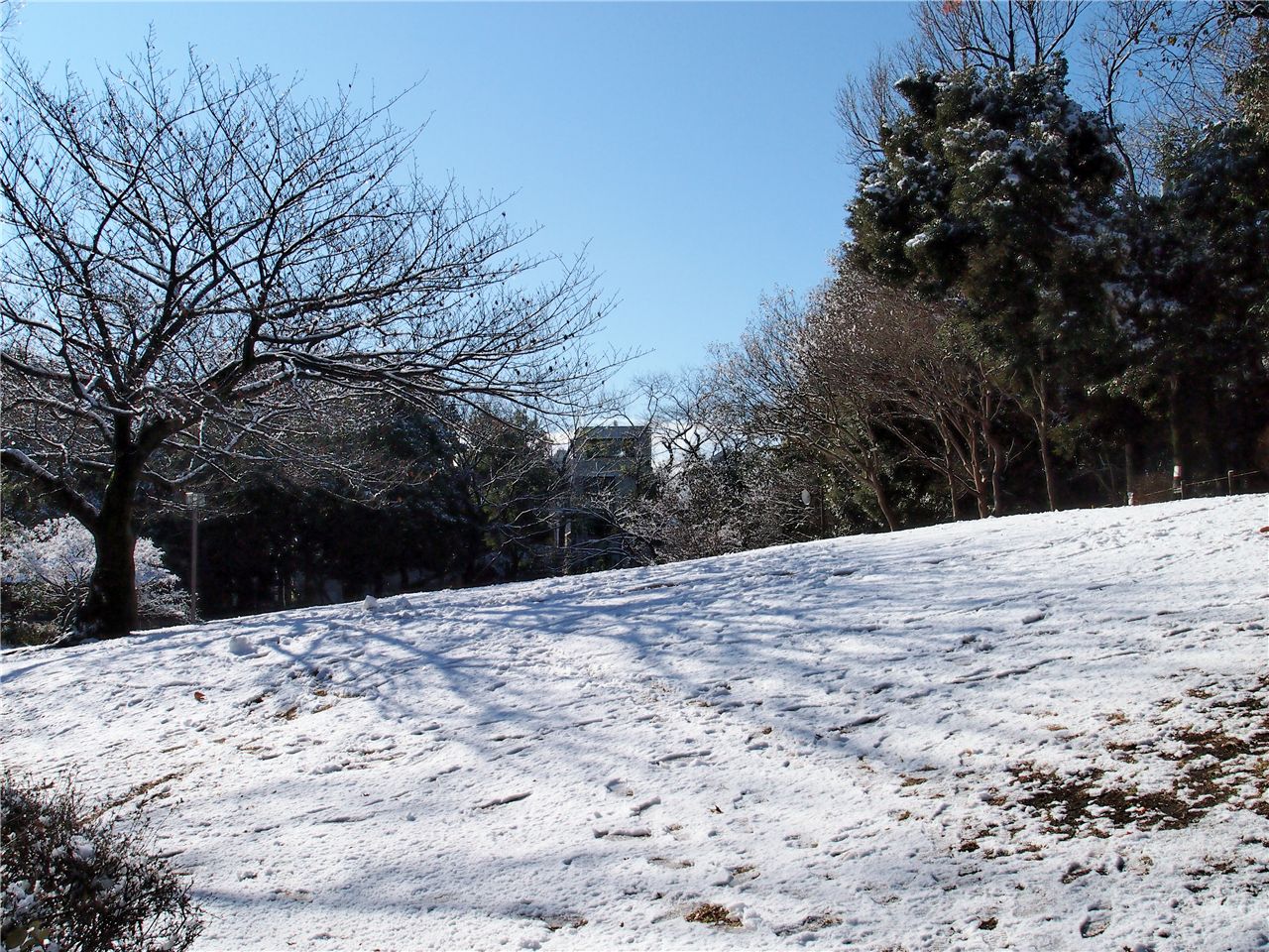 f0224100_073159.jpg