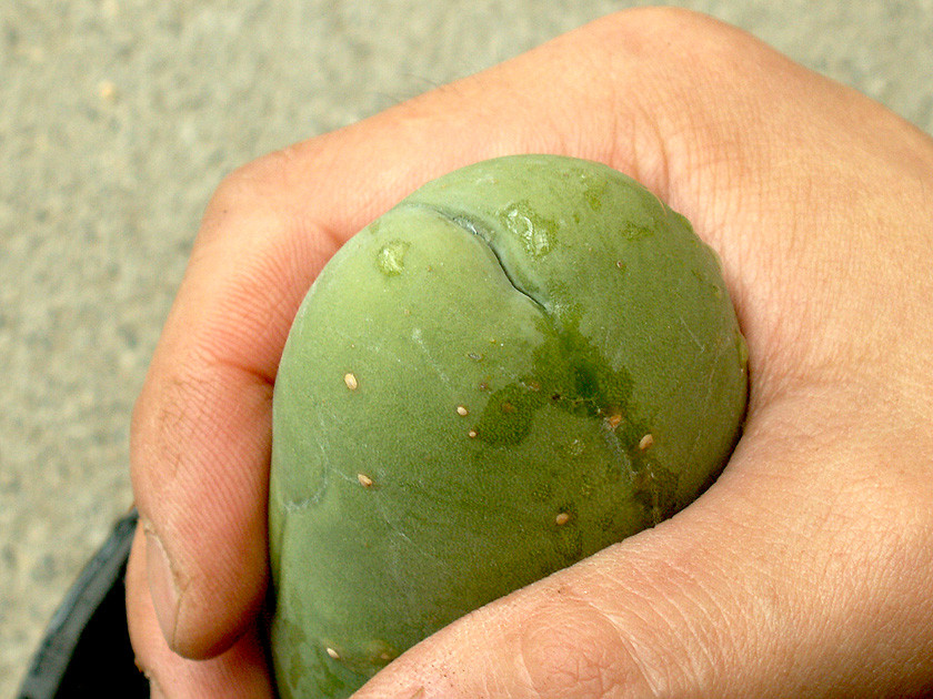 c0072801_54566.jpg