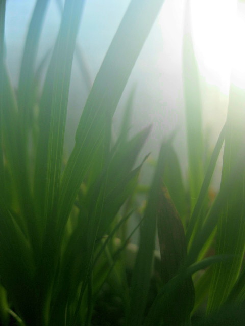 f0236201_758976.jpg