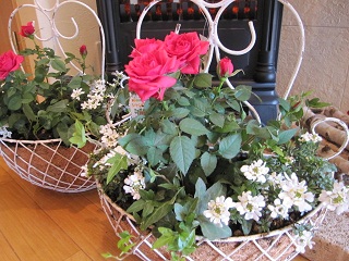 c0152002_18565265.jpg