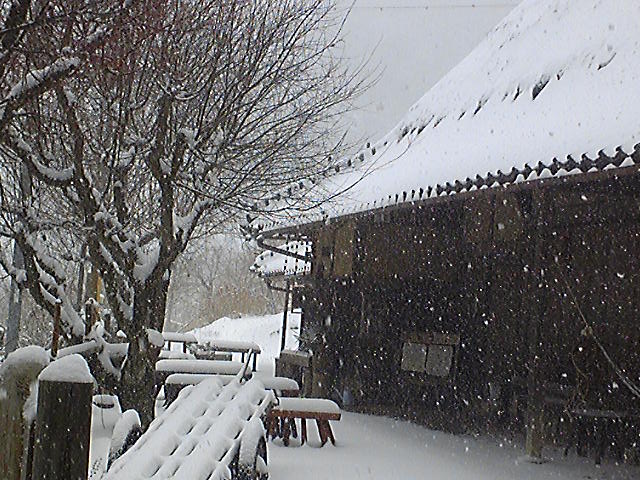 e0197602_16341318.jpg