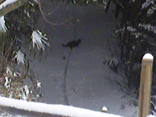 e0197602_16361027.jpg