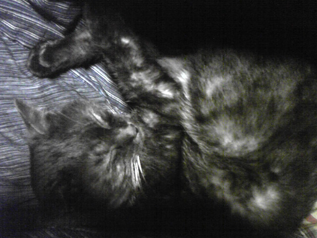e0197602_16372535.jpg