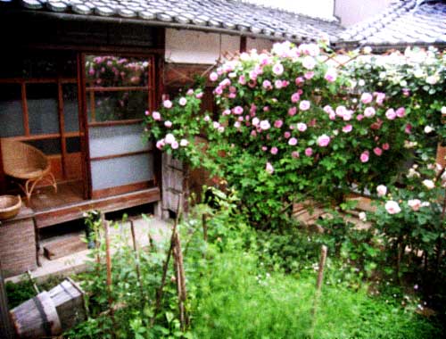 d0077603_11145861.jpg