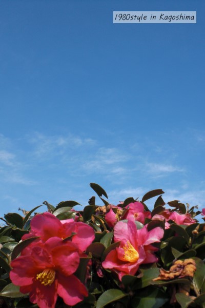 c0158014_17274644.jpg