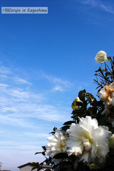 c0158014_17275434.jpg