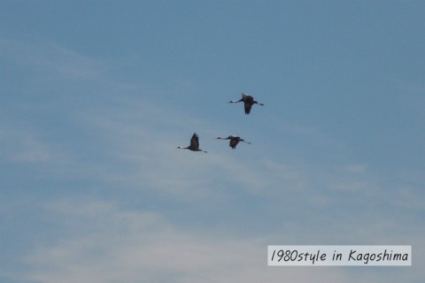 c0158014_17281280.jpg