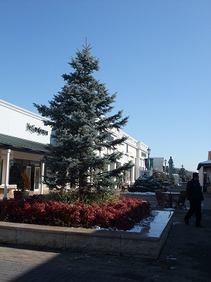 b0072515_2183697.jpg