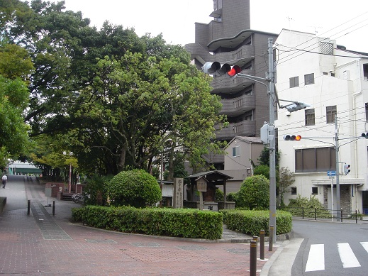 f0000521_7111399.jpg
