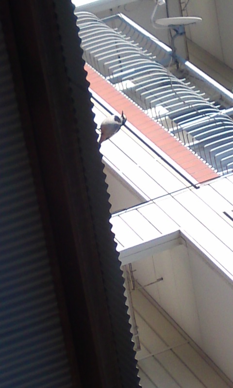 c0164227_21301539.jpg