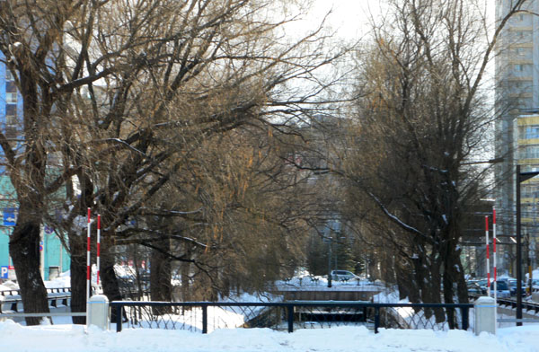 a0046429_19455414.jpg