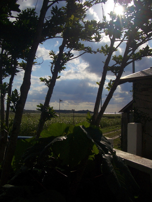 a0148031_21355684.jpg