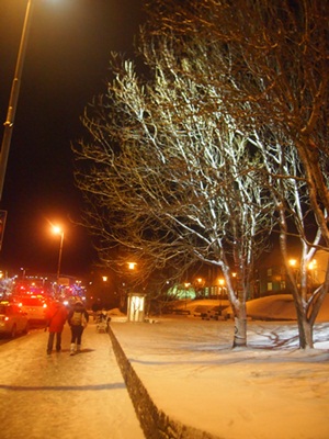 e0182138_3224432.jpg
