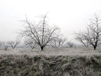 d0167041_039219.jpg