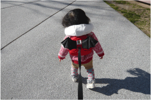 b0182846_1341651.gif