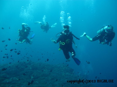 e0027447_18353643.jpg