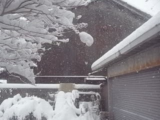 f0178153_15111811.jpg