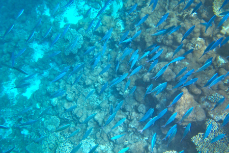 f0190653_14154564.jpg