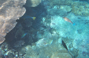 f0190653_14163948.jpg
