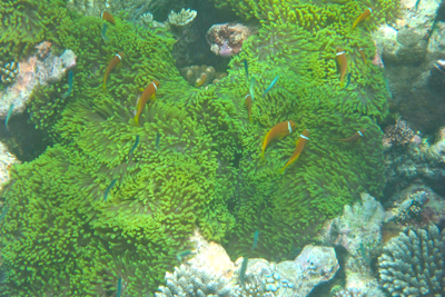 f0190653_1472872.jpg