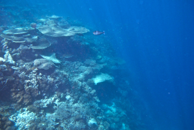f0190653_17334081.jpg