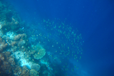 f0190653_17334390.jpg