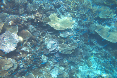 f0190653_1739246.jpg
