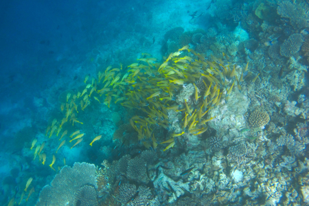 f0190653_21465291.jpg