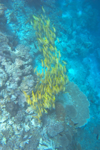 f0190653_21474081.jpg