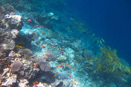 f0190653_21475260.jpg