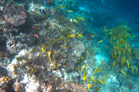 f0190653_21482344.jpg