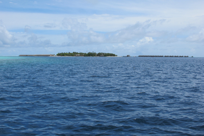 f0190653_2150319.jpg