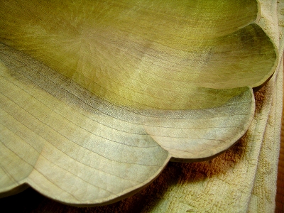 f0211463_1233897.jpg