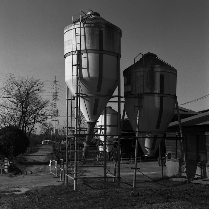 b0175964_1549450.jpg