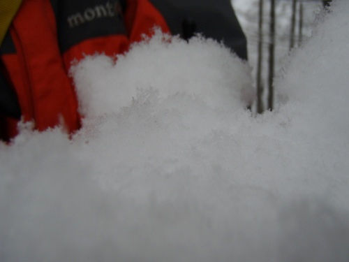 b0050067_22511955.jpg