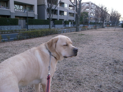 a0195486_859412.jpg