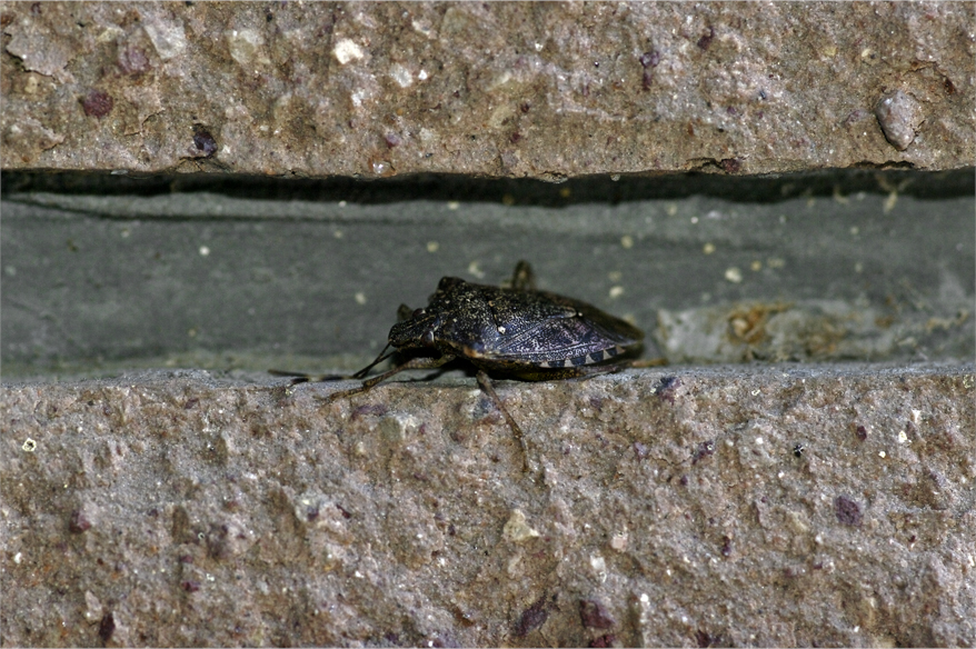 d0209988_20145010.jpg