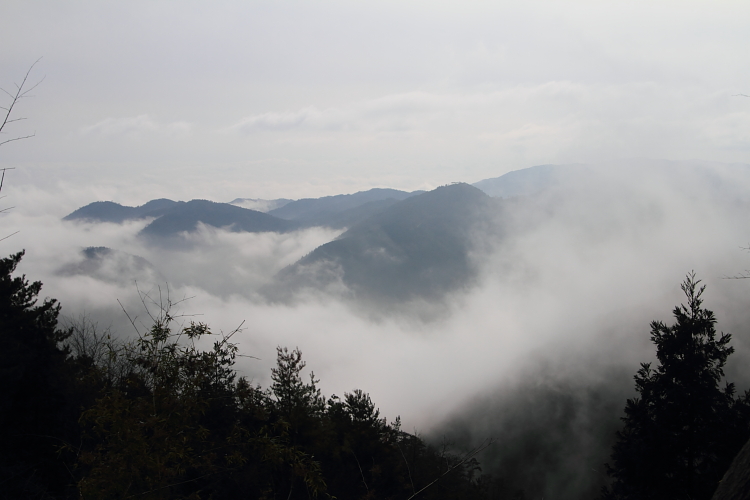 e0051888_22511543.jpg
