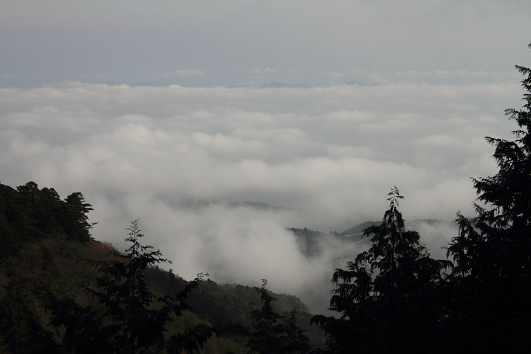 e0051888_22522477.jpg