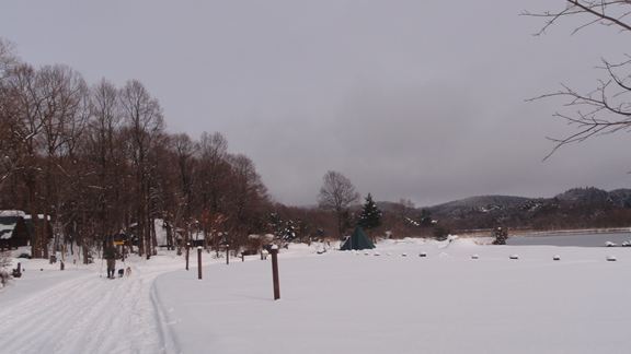 d0165689_0334100.jpg