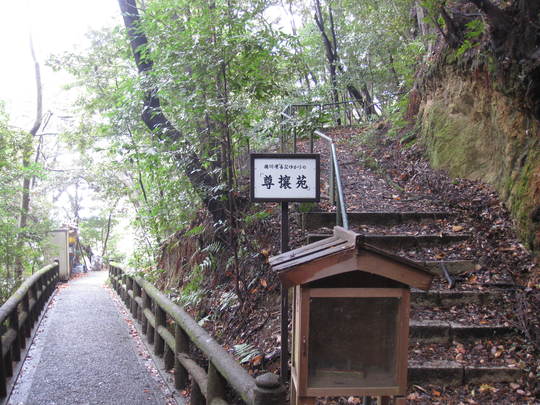 f0010195_0532824.jpg