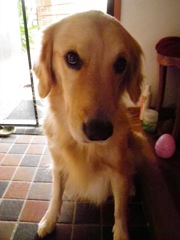 c0193396_1024219.jpg