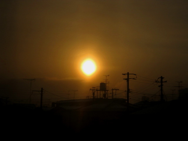 f0236201_945680.jpg