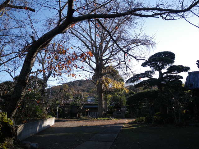 a0116205_20135376.jpg