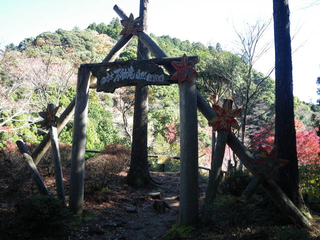 a0116205_2042997.jpg
