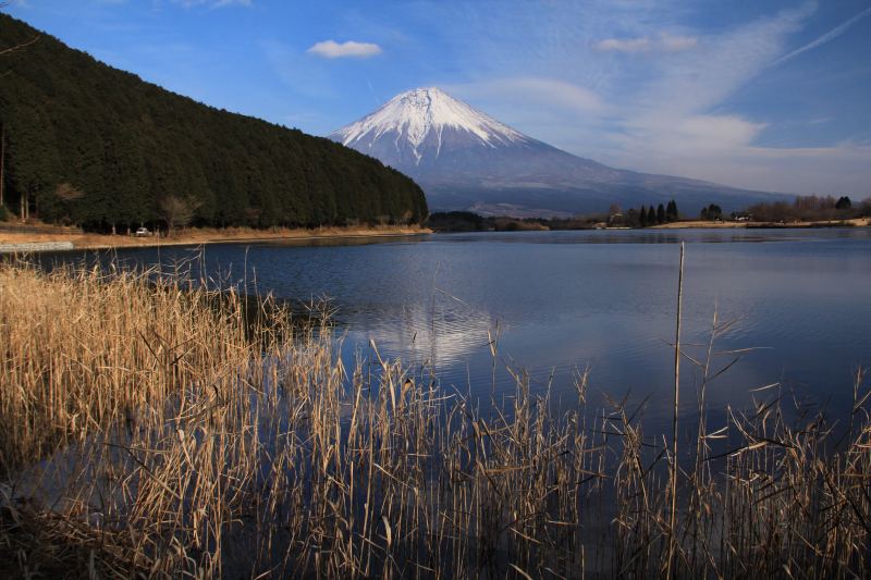 a0188405_015020.jpg