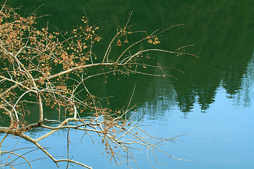 b0014607_20433064.jpg
