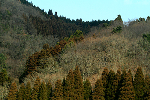 b0014607_20434471.jpg
