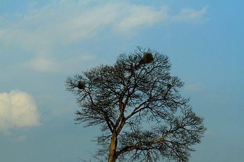 b0014607_2044348.jpg